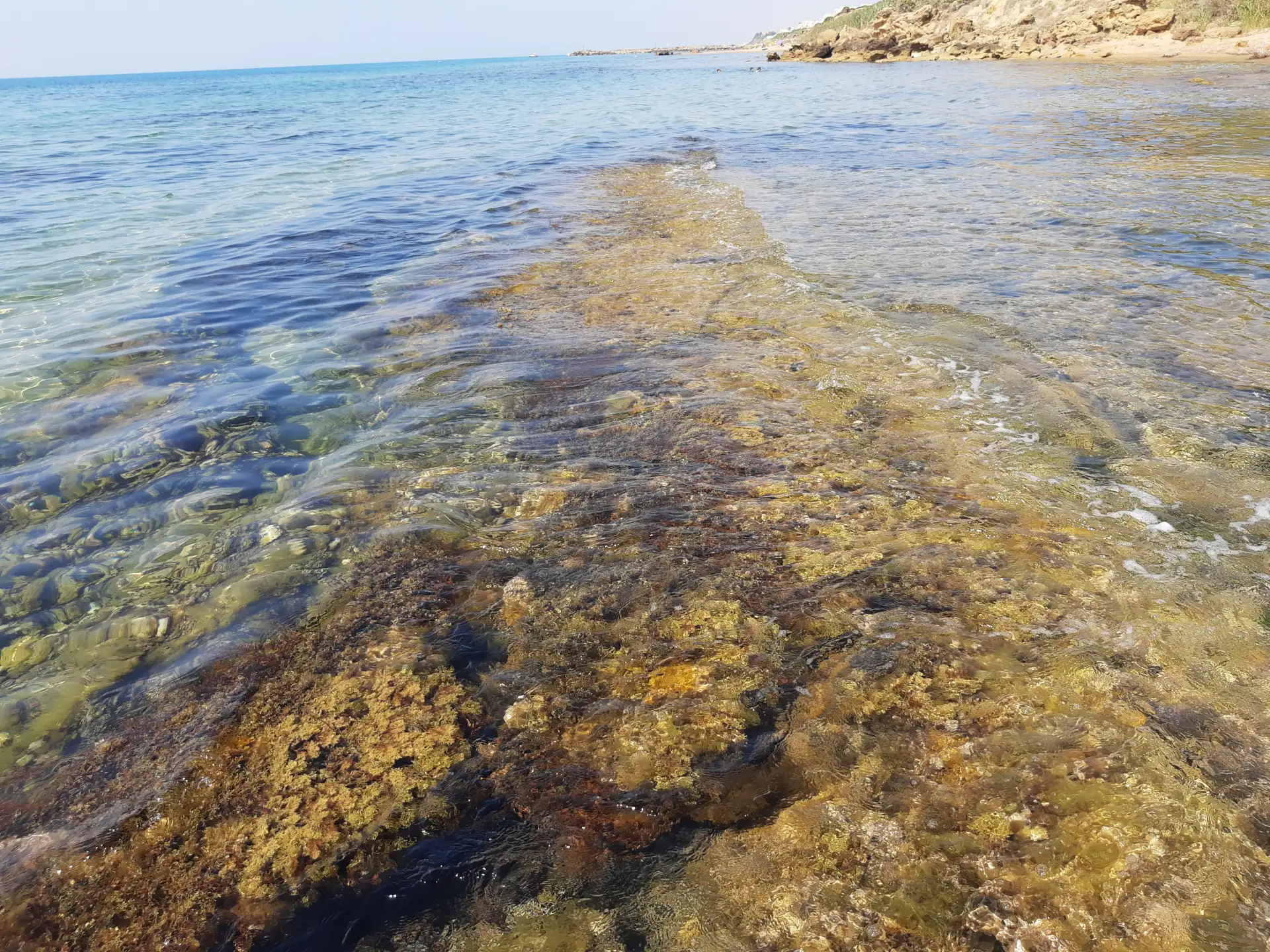 阶梯右侧独特的岩石海岸，这里孕育着富含矿物质的天然美容黏土层。